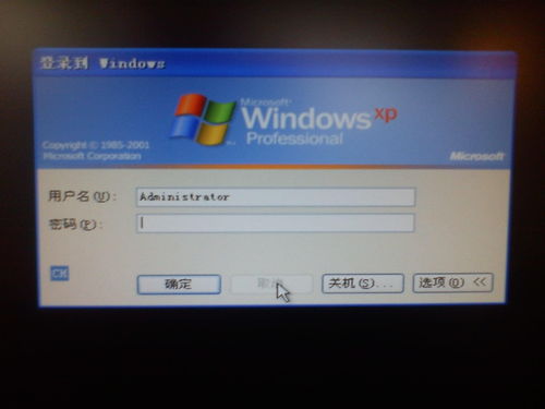 計算機(jī)用戶賬戶 概念、類型與管理