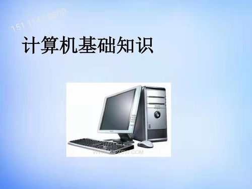 計算機(jī)大專生的多元發(fā)展路徑 機(jī)遇與挑戰(zhàn)并存
